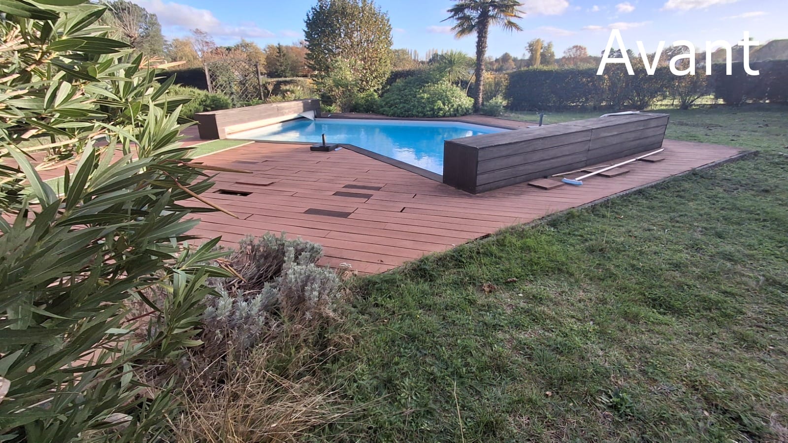 Jardin avec piscine forme atypique